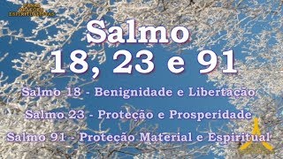 Salmo 18 23 e 91  3 Salmos Poderosos de Proteção e Prosperidade [upl. by Nanis]