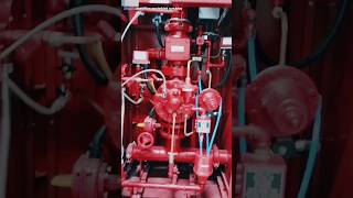 PreAction fire sprinkler system Preaction panel shorts [upl. by Chansoo]