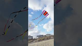 Parafoil Kite Jam [upl. by Eul]