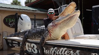 HUNTING GIANT FLORIDA GATORS [upl. by Yhtnomit]