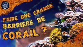 Comment faire une grande barrière de corail   CURIOCEAN 14 [upl. by Ludie]