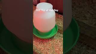 DIY Tip of the Day [upl. by Ahsemit]