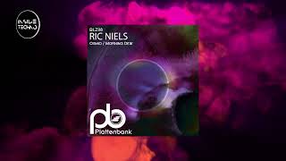 Ric Niels  Morning Dew  Inside Techno [upl. by Karlow567]