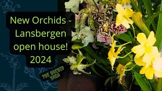 New orchids  Orchid nursery visit Lansbergen at the Netherlands 2024 [upl. by Laehplar]