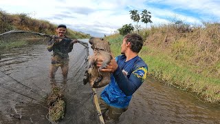 PESCARIA DE PENEIRÃO PEGAMOS A FILÓ CAPIVARA NO PENEIRÃO SO VENDO PARA ACREDITAR [upl. by Ernestine]