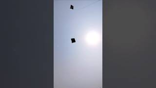 Kite catching challenge 😨।। shorts kiteflying kitelooting kite patang patangwala challenge [upl. by Aittam947]