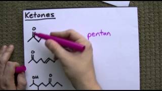 Aldehydes and Ketones Naming  Properties [upl. by Averill]