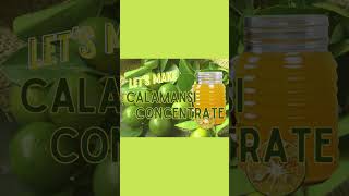 HOW TO MAKE CALAMANSI CONCENTRATE FARMDOKPHphilippines calamansi juicehealthrefreshing fypシ [upl. by Fleischer]