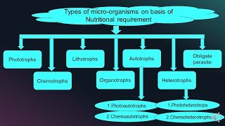 Cultivation of Microorganism  Types of Microorganisms on Basis of Nutritional requirement [upl. by Hoang]