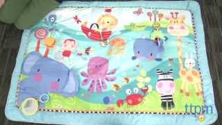 Discover n Grow Jumbo Playmat from FisherPrice [upl. by Marsden393]