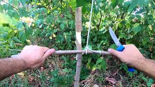 Survival skills Wild animal trap [upl. by Teleya]