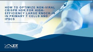 How to optimize nonviral CRISPR HDR for highefficiency large knockin in primary T cells and iPSCs [upl. by Eecak]