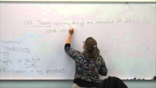 Broward College North Campus  BSC1005  Review Video  Sept 28 2015 [upl. by Burkle177]