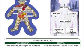 SY1 Functionalism [upl. by Waine]