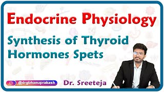 Synthesis Of Thyroid Hormones spets  Endocrine physiology USMLE Step 1 [upl. by Shiri967]