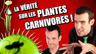 IDÉE REÇUE 20  Les plantes carnivores feat Fabien Olicard [upl. by Tterrag119]