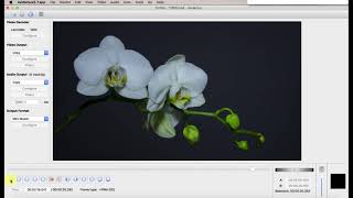 How to cut a video with Avidemux [upl. by Petite]