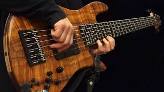 6 String Bass Solo [upl. by Latini]