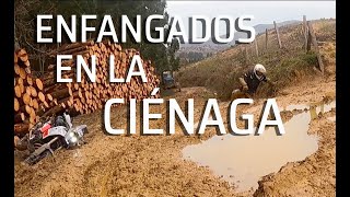 Enfangados en la ciénaga [upl. by Eletnahs]