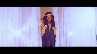 Demetria McKinney  Work With Me Official Music Video [upl. by Akiehsat]