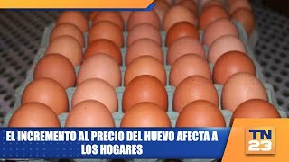 El incremento al precio del huevo afecta a los hogares [upl. by Courcy219]