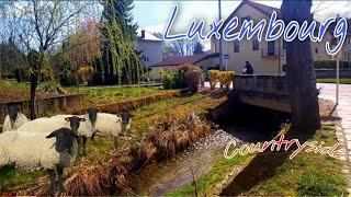 Beautiful Luxembourg Countryside  Town Echternach  Little Switzerland [upl. by Ahsiela]