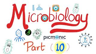 Picmonic Microbiology  Pseudomonas Proteus amp Salmonella  GramNegative Rods  Part 10 [upl. by Solitta]