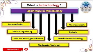 What is biotechnology  biotechnology significance in microbiology biotechnology microbiology [upl. by Croteau204]