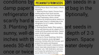 Pecan Nuts Growing procedure step by step [upl. by Brocky]