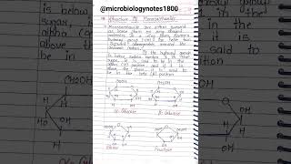 carbohydrates complete handwritten notes [upl. by Waers357]