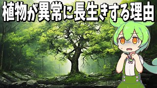 なぜ植物は動物に比べ異常に長生きするのか？【ずんだもん解説】 [upl. by Hennebery763]