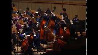 Star Wars excerpt  Nanyang Polytechnic Chinese Orchestra [upl. by Granniah]