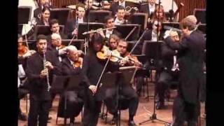 Max Bruch Double Concerto for Clarinet amp Viola 2 mov [upl. by Rina954]