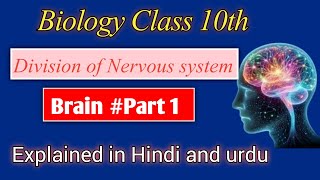 quotUnlocking the Brain Secrets of the Human MindquotExplained in Hindi and urdu [upl. by Elora552]