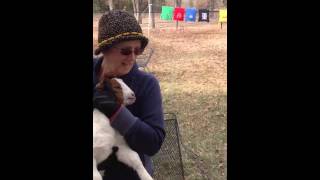 Baby goat shouting at baby [upl. by Rfinnej]