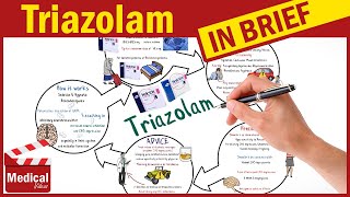 Triazolam Halcion What is Triazolam Used For Dose Side Effects Contraindications amp Precautions [upl. by Ariahay]