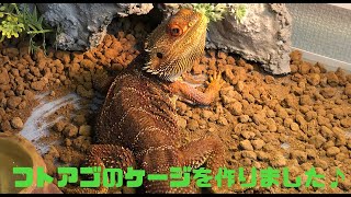 フトアゴヒゲトカゲのケージを作りました【パンテオン】 [upl. by Niwhsa]