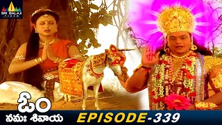 సంగ్యా దేవి నుండి ఛాయాదేవి ఎలా ఉద్భవించింది   Episode 339  Om Namah Shivaya Telugu Serial [upl. by Gus570]