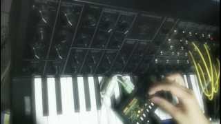 KORG MS20 mini Demo 05  Experimental play with monotron Delay [upl. by Nan]