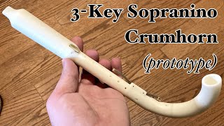 Sopranino Crumhorn  3Key Prototype [upl. by Aiyekal]