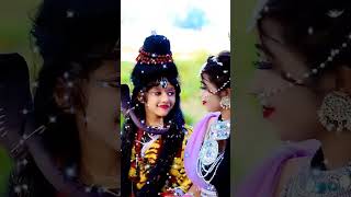 Chhed Milan ke Geet re mitwa bollywood hindisong music ytshorts trendingmotivation [upl. by Ahsatin]