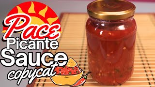 Make Your Own Pace Picante Sauce with This Quick and Easy Copycat [upl. by Airdnekal398]