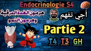 Physiologie animale en Arabe Endocrinologie S4 Partie 2 svi s4 [upl. by Baxy]