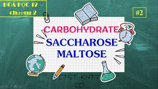 HOÁ 12 CHƯƠNG 2 DISACCHARIDE  SACCHAROSE VÀ MALTOSE [upl. by Minni]