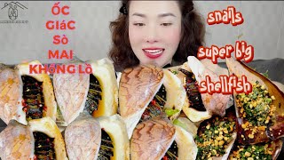 Mukbang ỐC GIÁC và SÒ MAI siêu to Mukbang SNAILS AND SHELLFISH EATING SHOW [upl. by Reiss]