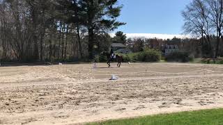 Beland Dressage  Training Level Test 1 2019 [upl. by Win]