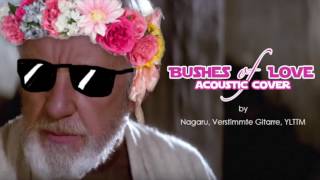 ♪♫ Bushes of Love acoustic cover by Nagaru VerstimmteGitarre amp YLTTM [upl. by Ahscrop718]