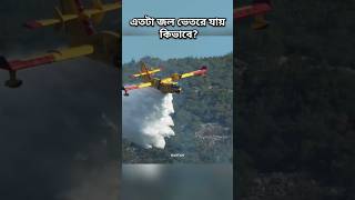 Water Bomber এ এতটা জল ভেতরে যায় কিভাবে plane facts shorts [upl. by Yrogreg]