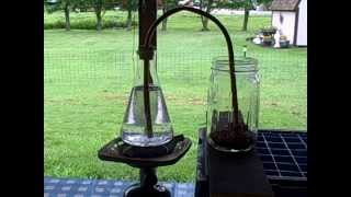 syphon coffee maker [upl. by Orren961]