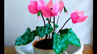 How to make Paper Flower Cyclamen  flower 132 [upl. by Llenral]